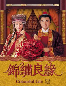 浴火特工之假面夫妇