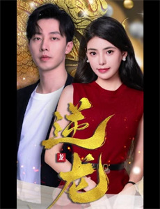 叛出家门后我成顶级天后