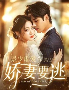 裴先生明恋成真